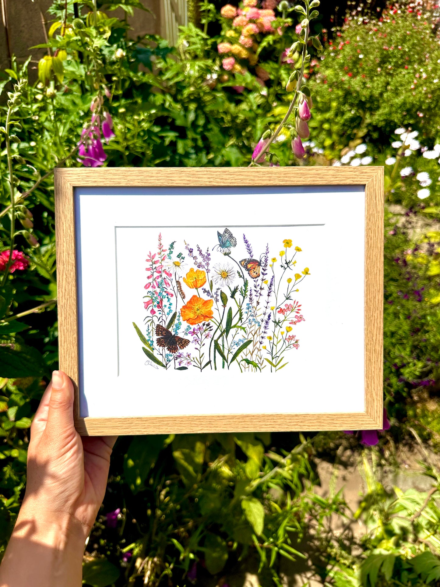 Butterfly Meadow A5 Watercolour Art Print