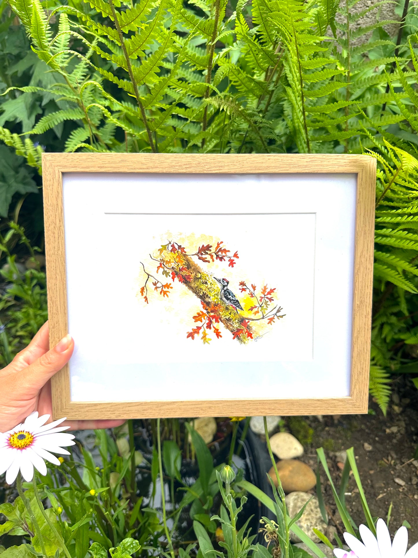 Woodpecker On Oak A5 Watercolour Art Print