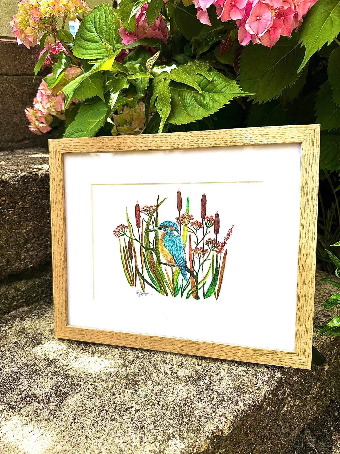 Kingfisher A5 Watercolour Art Print